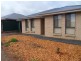 14 Innes Street, Elizabeth Park SA 5113