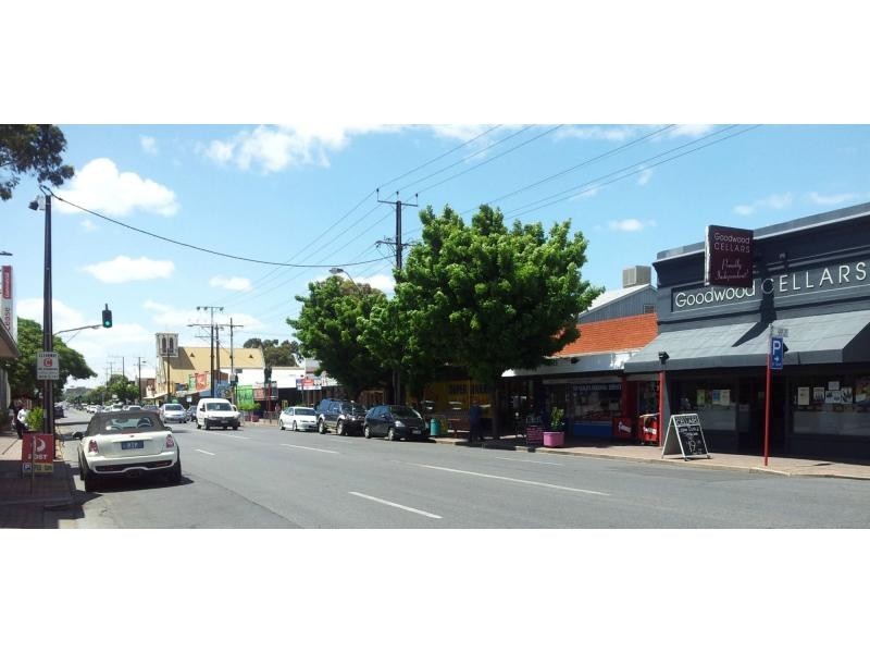 Unit 2/184 Goodwood Road, Millswood SA 5034