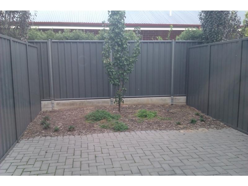 3/49B Trinity Circuit, Mawson Lakes SA 5095