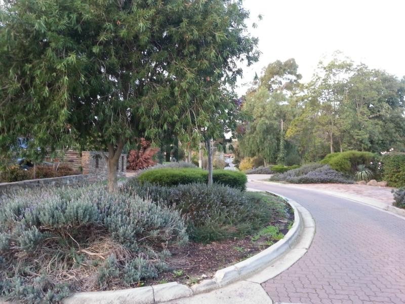 22 Carnarvon Street, Redwood Park SA 5097