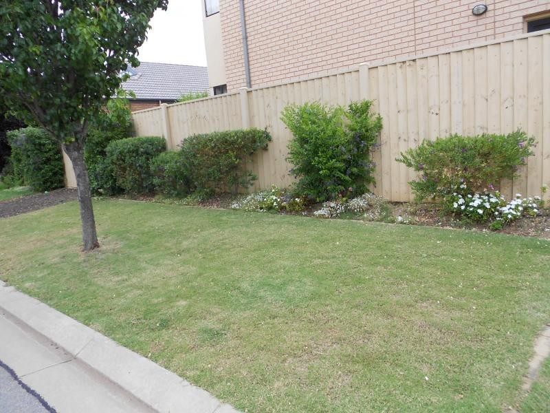 16 Parkview Drive, Mawson Lakes SA 5095