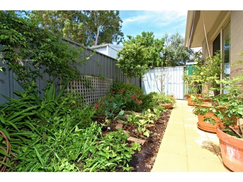 1B Winton Avenue, Warradale SA 5046