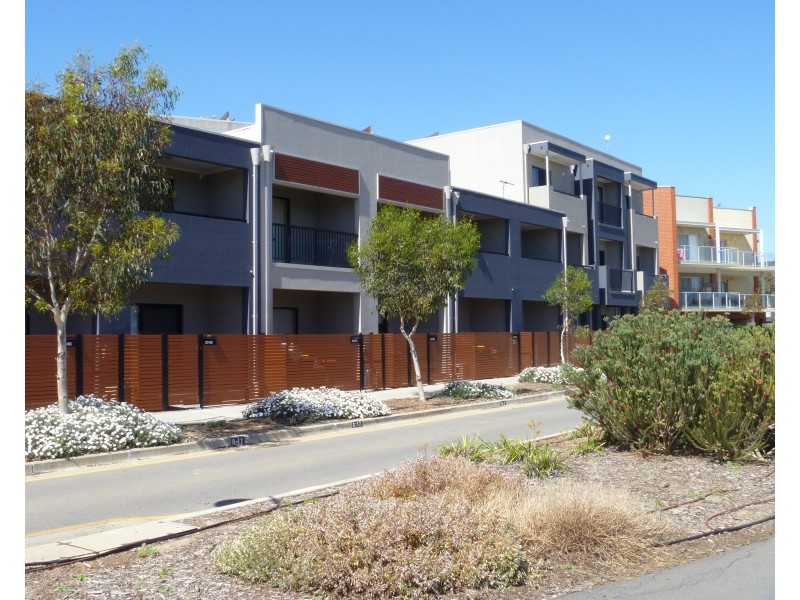 4/17 Euston Walk, Mawson Lakes SA 5095