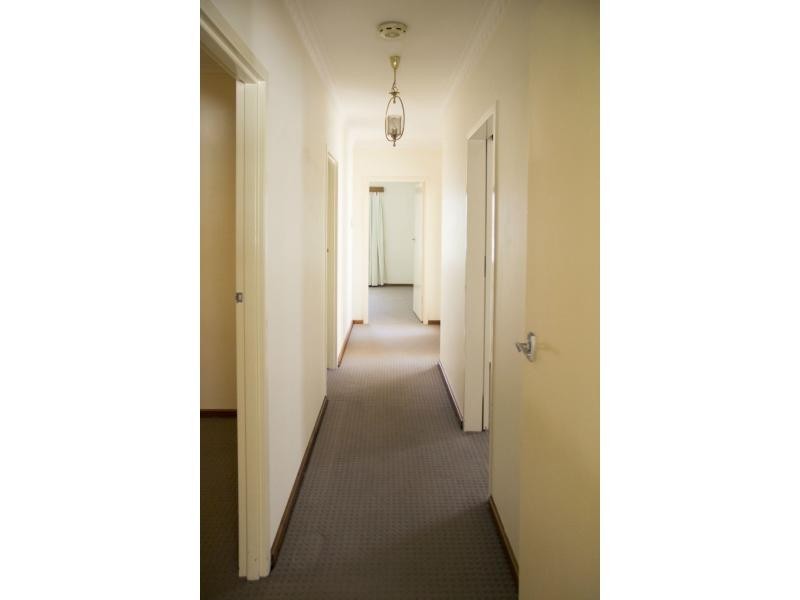 31 Launceston Avenue, Banksia Park SA 5091