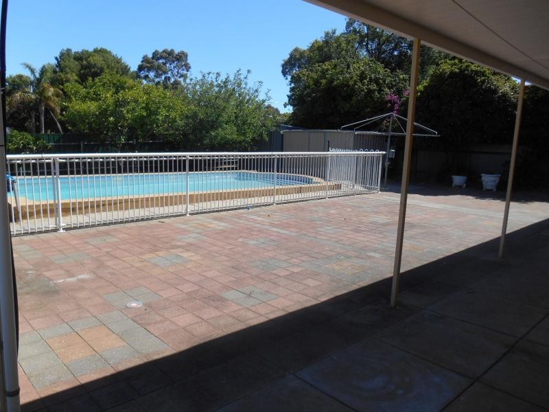 31 Launceston Avenue, Banksia Park SA 5091