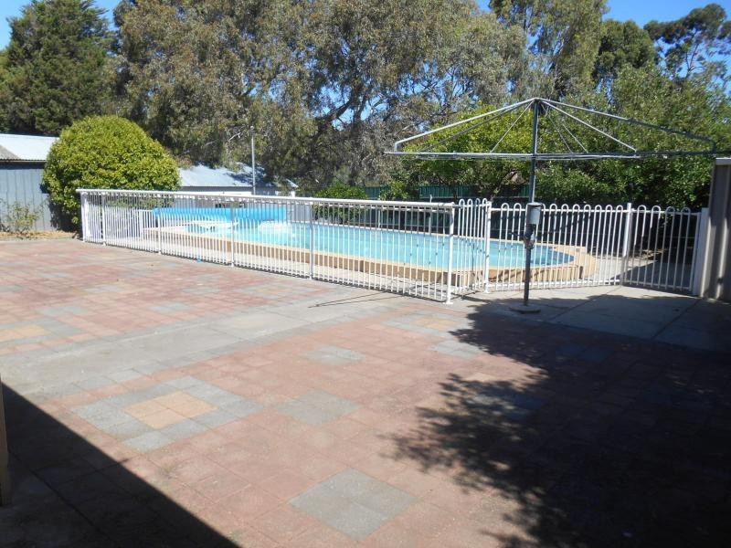 31 Launceston Avenue, Banksia Park SA 5091