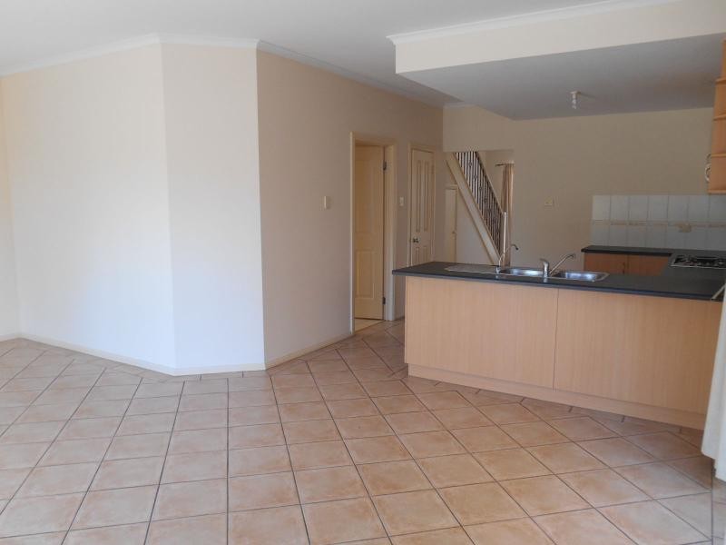 51 Avocet Drive, Mawson Lakes SA 5095