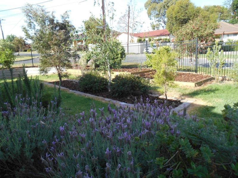 6 Kingston Avenue, Hope Valley SA 5090