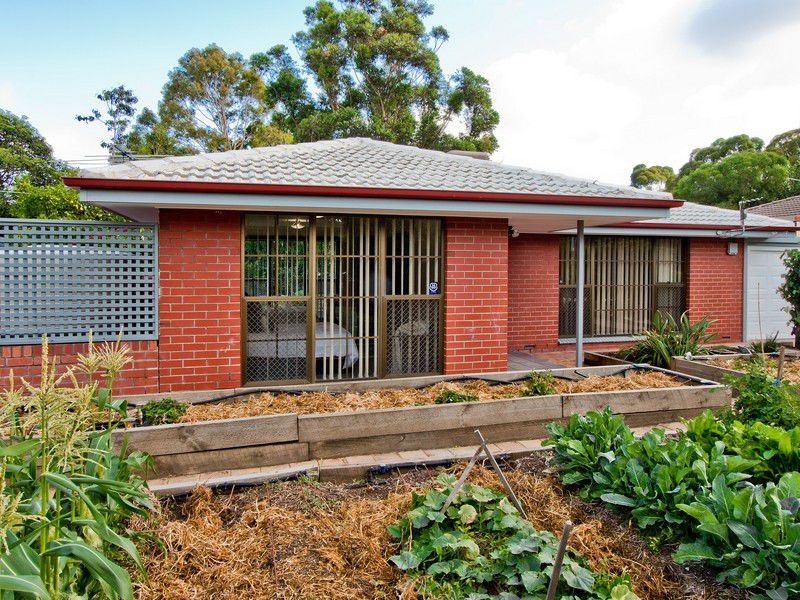 20 Glengyle Avenue, Modbury SA 5092