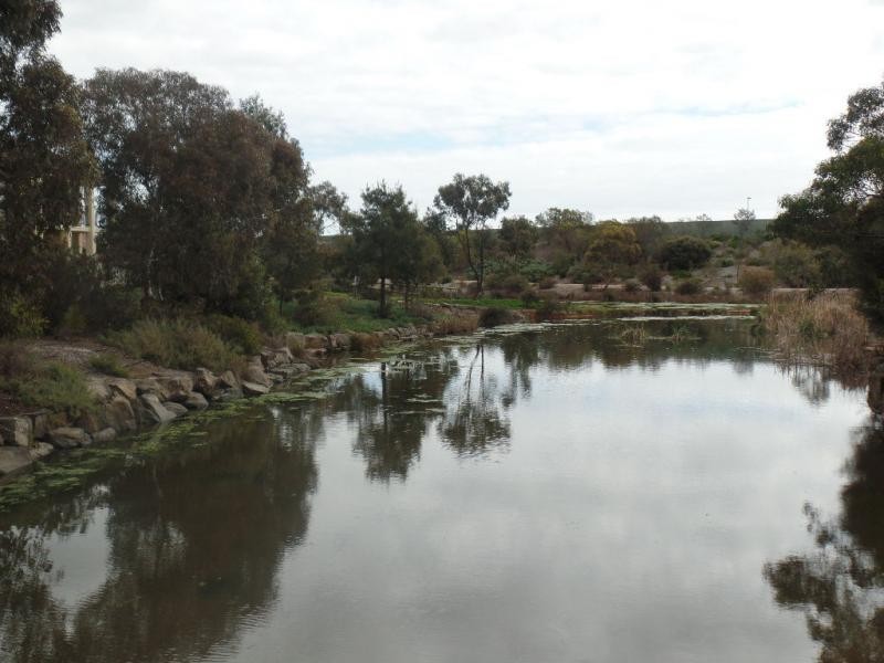 13 Rosella Street, Mawson Lakes SA 5095