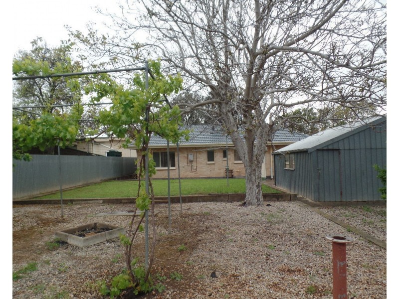 17 Carousel Street, Para Vista SA 5093