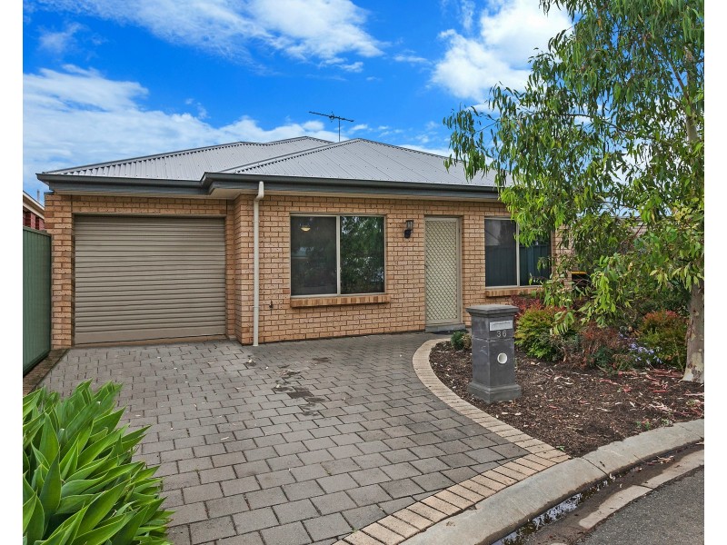 36 Trafalgar Drive, Elizabeth Park SA 5113