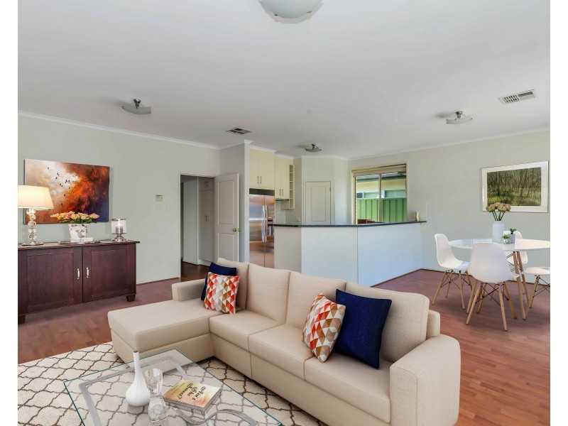 12 Lorentz Ct, Mawson Lakes SA 5095