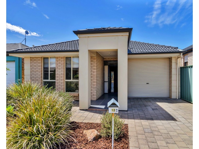 12 Lorentz Ct, Mawson Lakes SA 5095