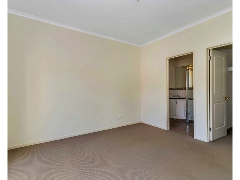 12 Lorentz Ct, Mawson Lakes SA 5095