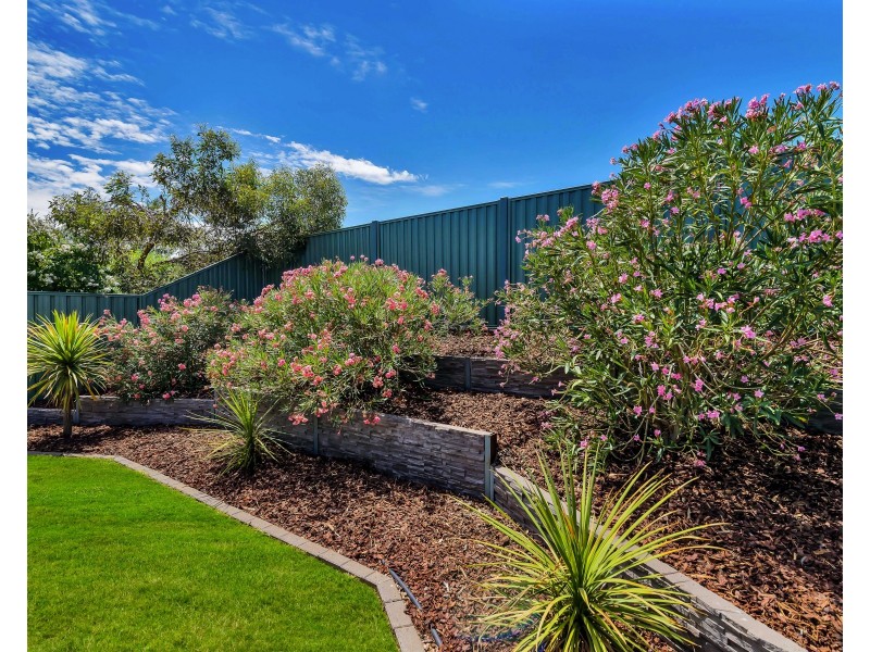 12 Lorentz Ct, Mawson Lakes SA 5095