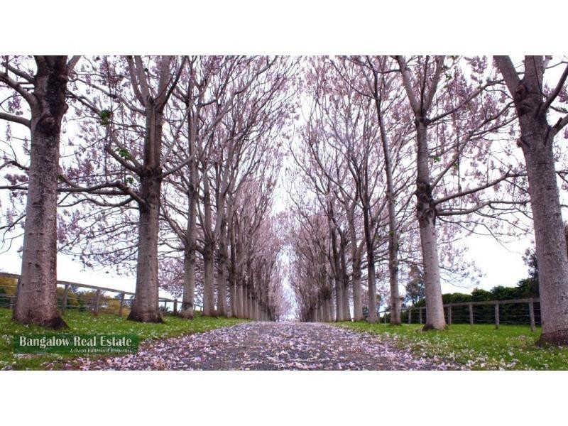 Alstonville NSW 2477