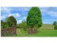 Fernleigh NSW 2479