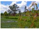 Fernleigh NSW 2479