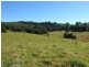 Bangalow NSW 2479
