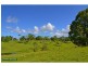 231 Fernleigh Road, Fernleigh NSW 2479