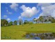 231 Fernleigh Road, Fernleigh NSW 2479