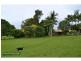 231 Fernleigh Road, Fernleigh NSW 2479