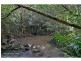 10/231 Fowlers Lane, Possum Creek NSW 2479