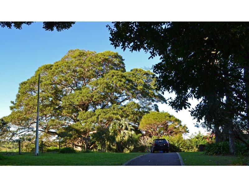 Possum Creek NSW 2479