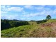 2744 Pacific Highway, Bangalow NSW 2479
