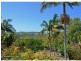 37 Granuaille Road, Bangalow NSW 2479