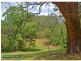 711 Whian Whian Road, Whian Whian NSW 2480