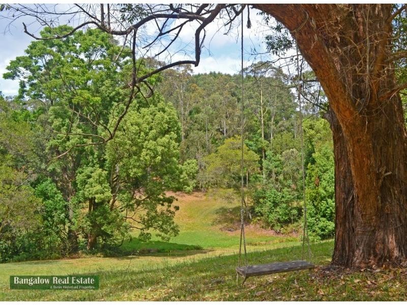711 Whian Whian Road, Whian Whian NSW 2480