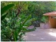 7 Booyong Road, Clunes NSW 2480