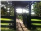 Brooklet NSW 2479