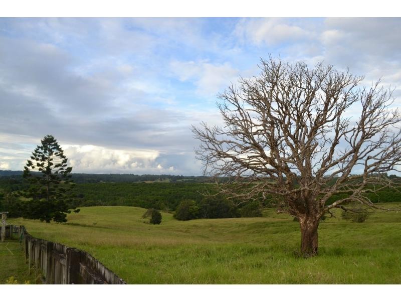 Clunes NSW 2480