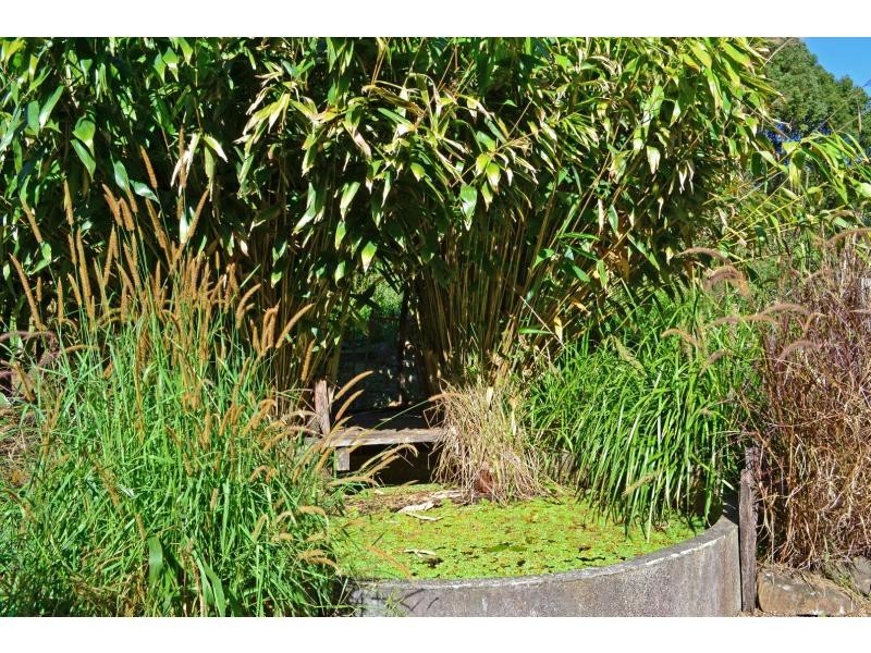 591 Friday Hut Road, Bangalow NSW 2479