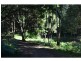 Possum Creek NSW 2479