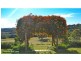 1566 Bangalow Road, Clunes NSW 2480