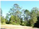 591 Friday Hut Road, Possum Creek NSW 2479