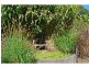591 Friday Hut Road, Possum Creek NSW 2479