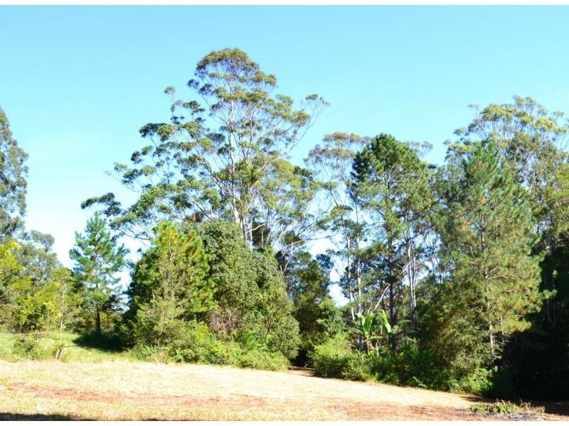 591 Friday Hut Road, Bangalow NSW 2479