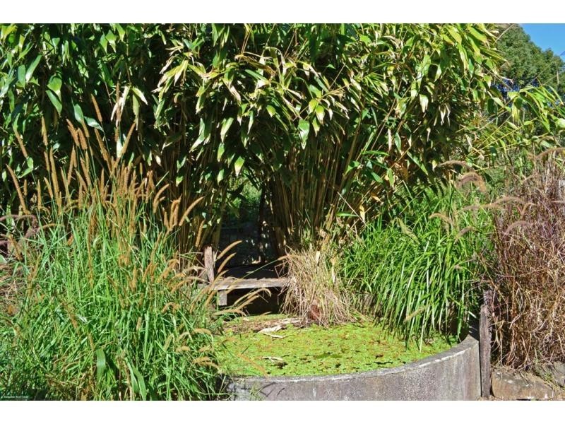 591 Friday Hut Road, Bangalow NSW 2479