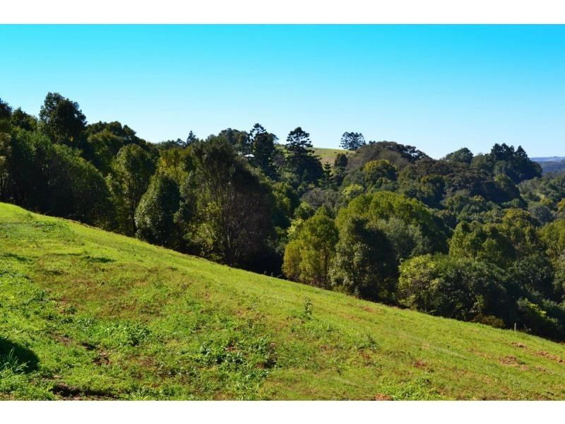 2 Tildon Drive, Clunes NSW 2480