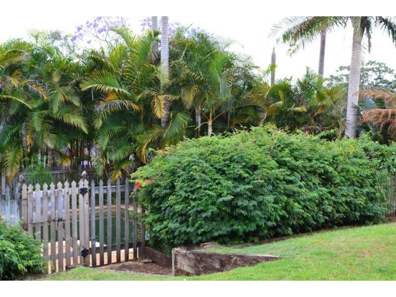 31 Jorgensens Lane, Brooklet NSW 2479