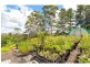 Whian Whian NSW 2480