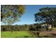 Rosebank NSW 2480