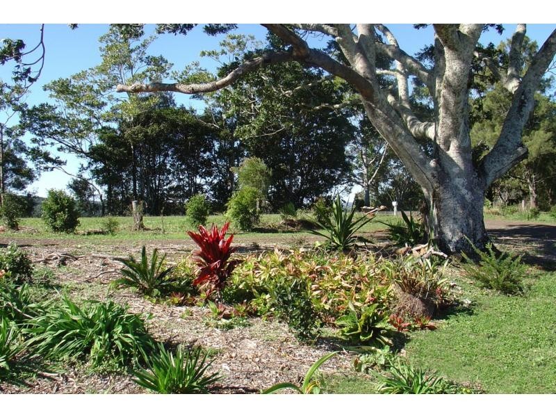 Rosebank NSW 2480