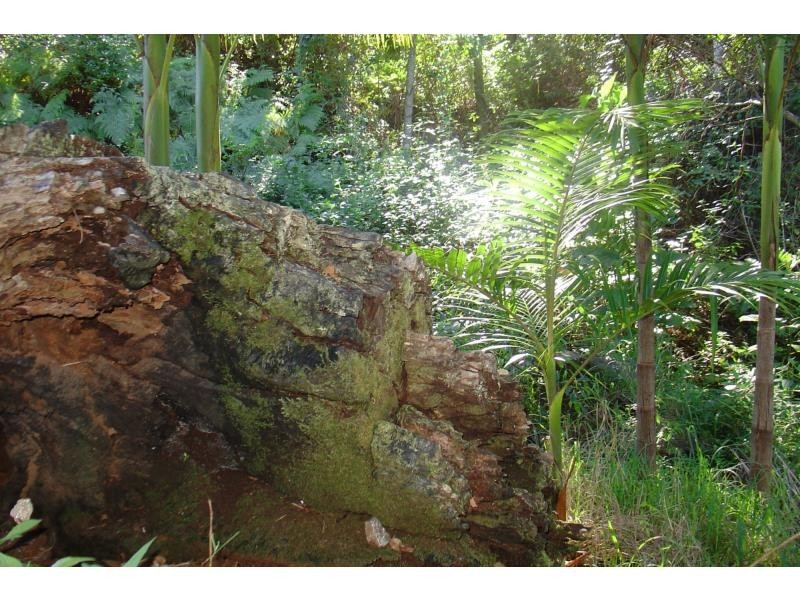 Rosebank NSW 2480