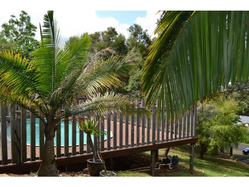 8 Coachwood Court, Federal NSW 2480